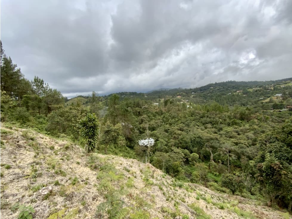 venta Lote Bosque + Quebrada Parcelacion Alto Palmas — foto 2