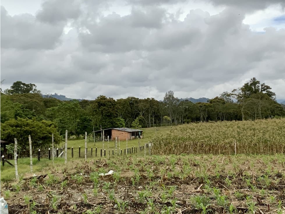 Venta Espectacular Lote Plano Parcelar 5 minutos Llanogrande — foto 2