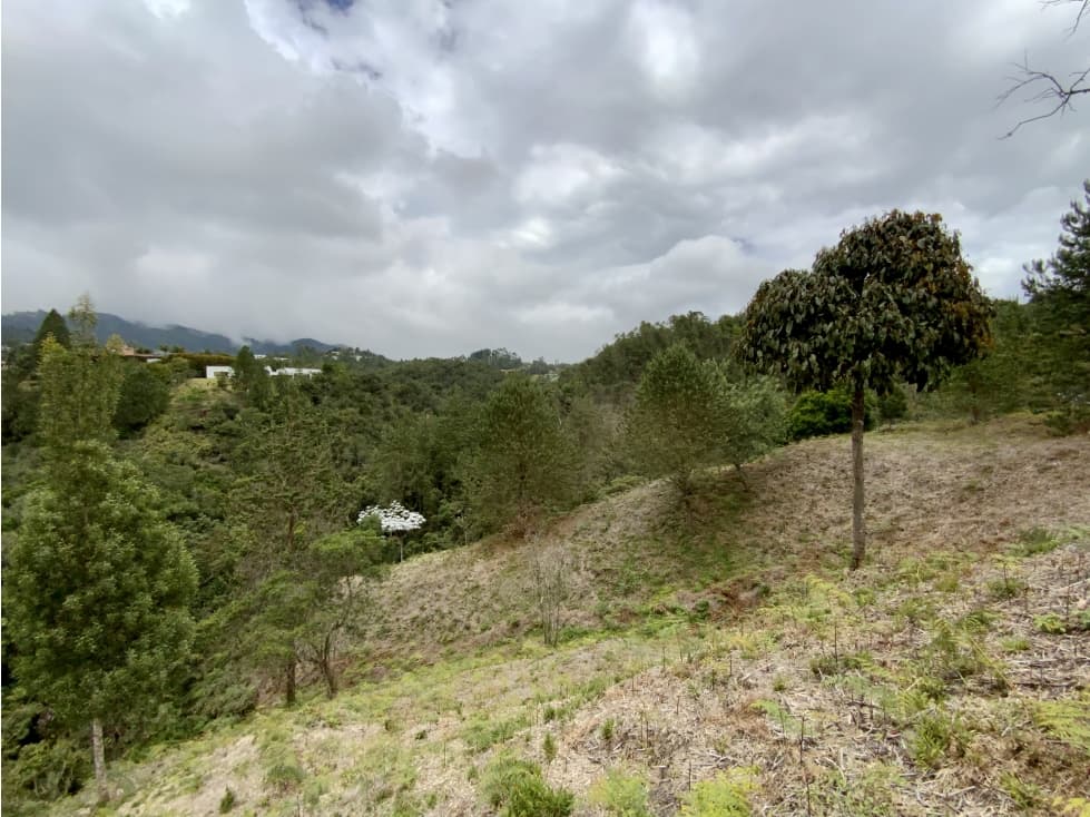 venta Lote Bosque + Quebrada Parcelacion Alto Palmas — foto 3