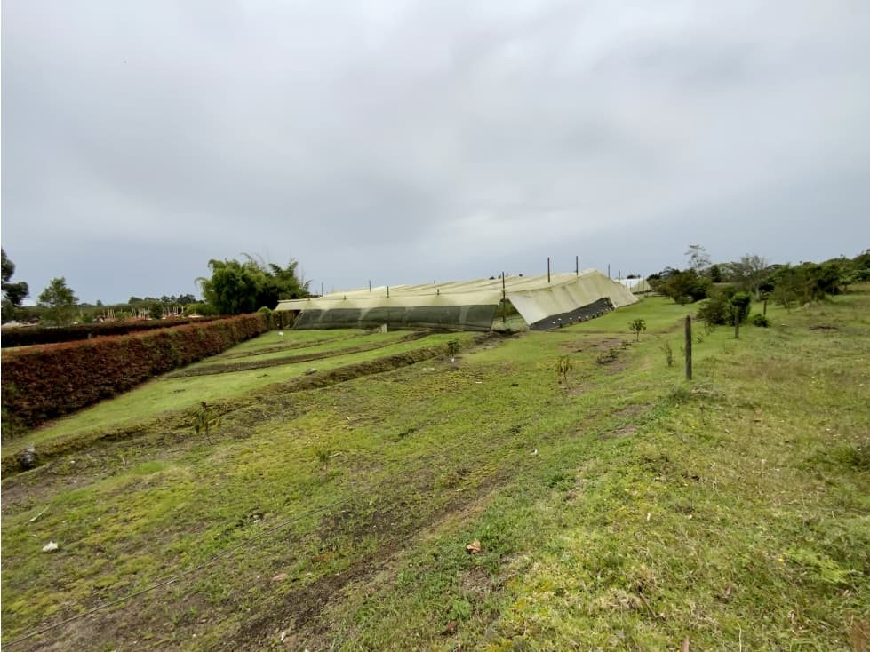 Venta Espectacular Lote Plano Parcelar 5 minutos Llanogrande — foto 4
