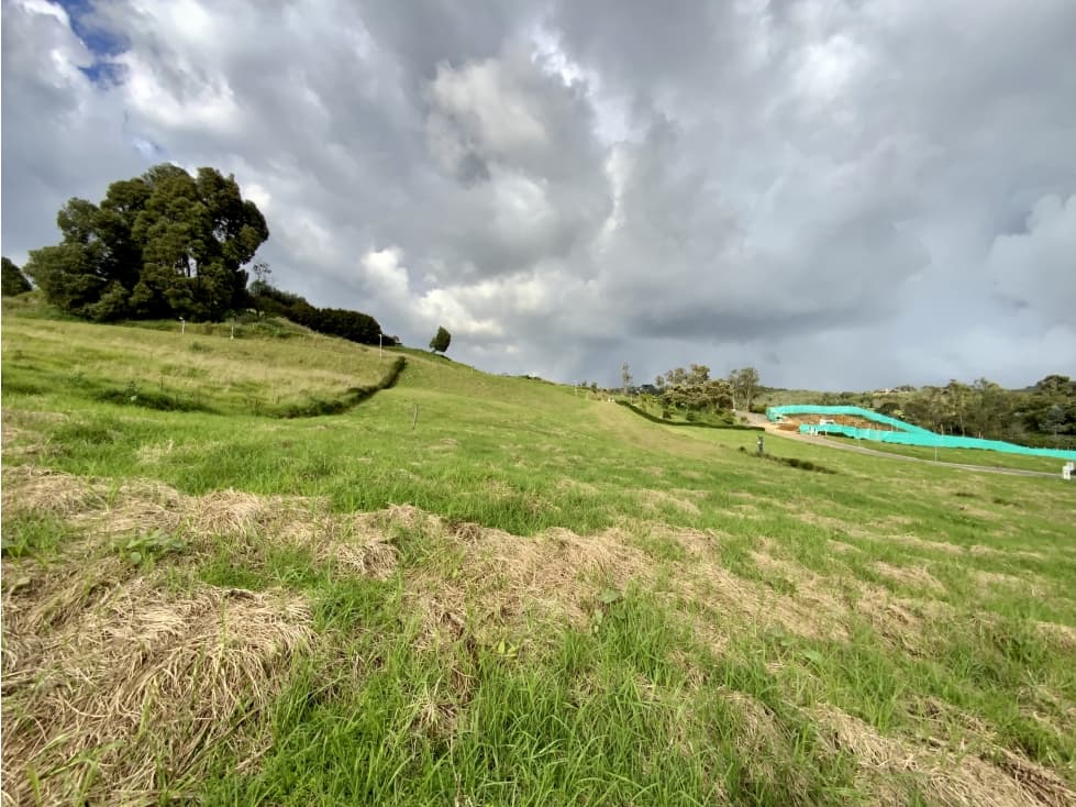 Venta Lote Parcelacion Alto Palmas — foto 4