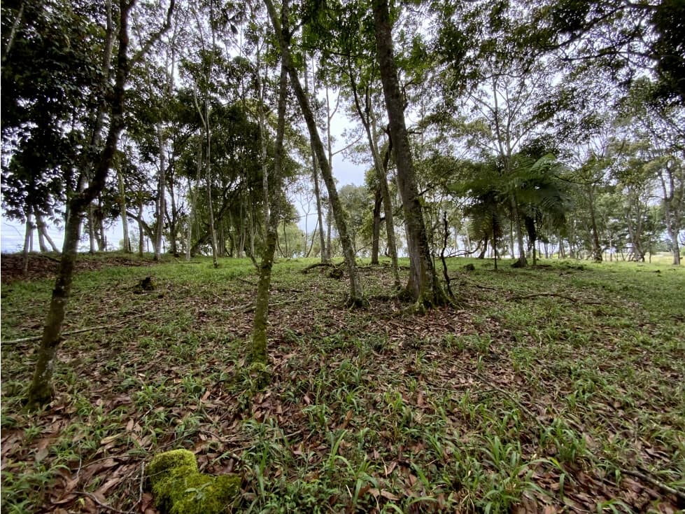 Venta Espectacular Lote Plano Parcelar 5 minutos Llanogrande — foto 6
