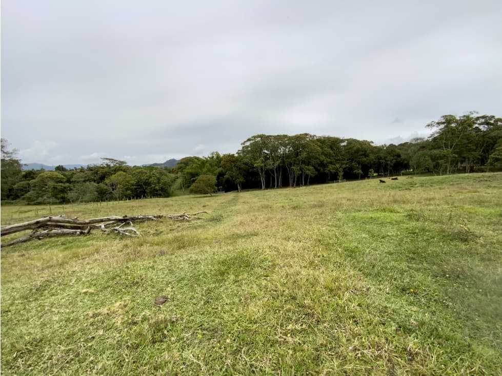 Venta Espectacular Lote Plano Parcelar 5 minutos Llanogrande — foto 1