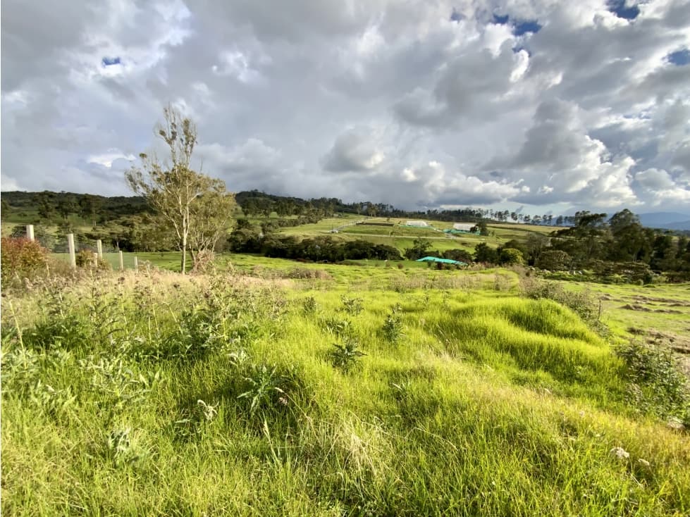 Venta Lote Parcelacion Alto Palmas Envigado — foto 4