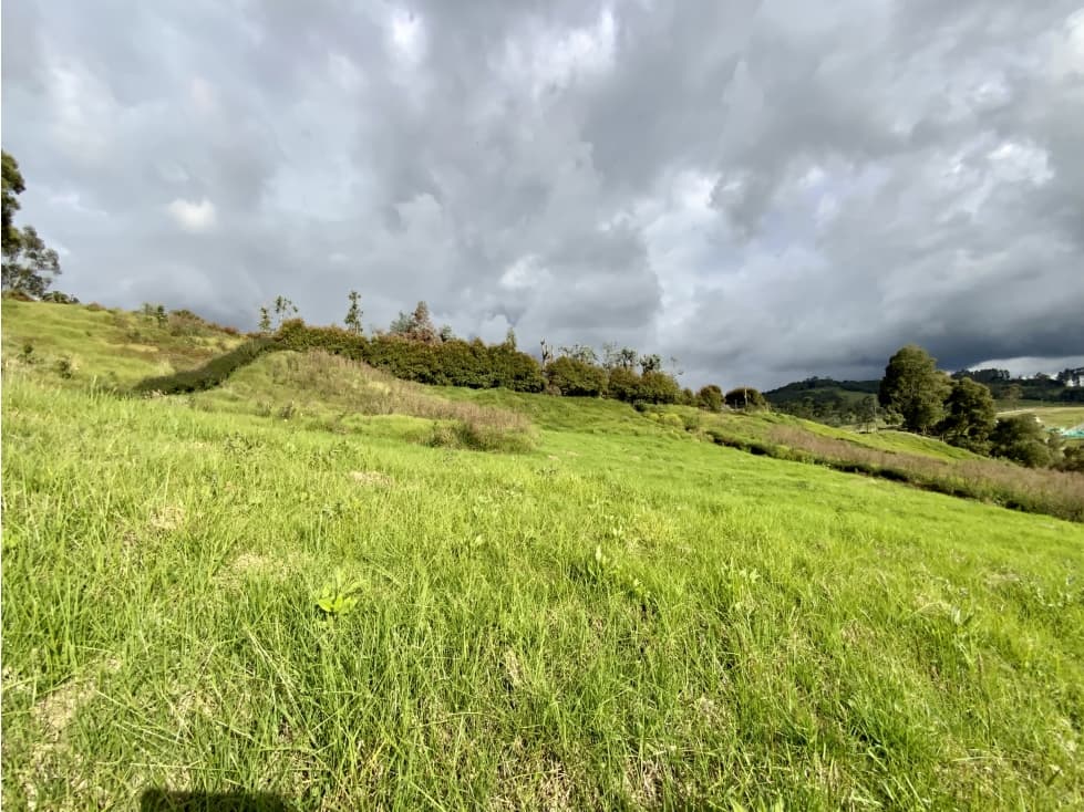 Venta Lote Parcelacion Alto Palmas Envigado — foto 5