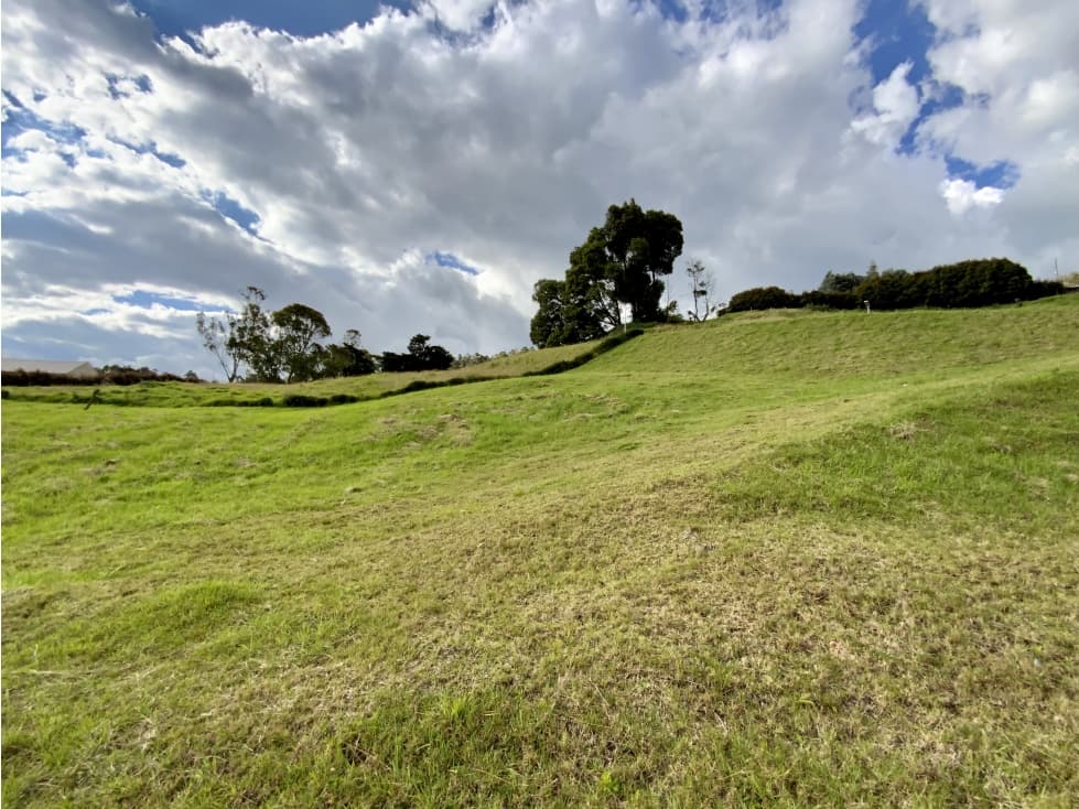 Venta Lote Parcelacion Alto Palmas — foto 6