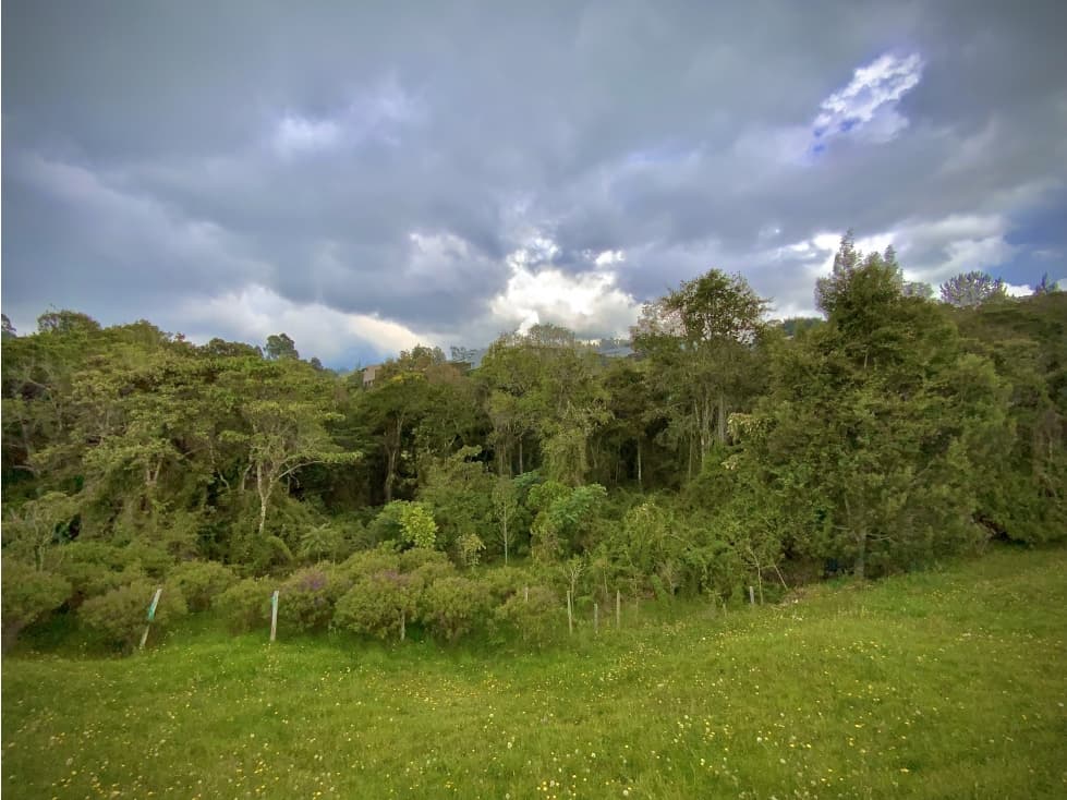 Venta Lote Parcelacion Alto Palmas Envigado — foto 4