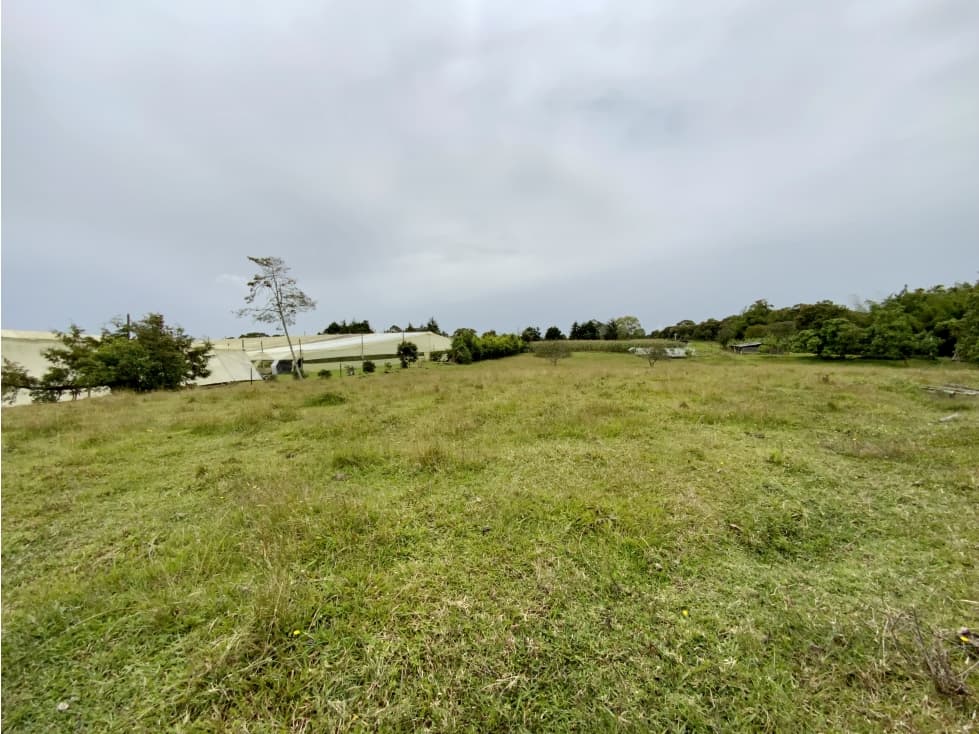 Venta Espectacular Lote Plano Parcelar 5 minutos Llanogrande — foto 3