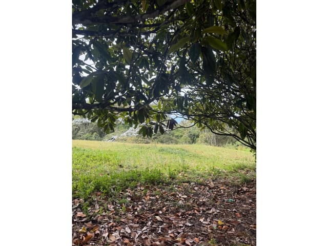 LOTE EN VENTA EN PARCELACION EL RETIRO, ANTIOQUIA