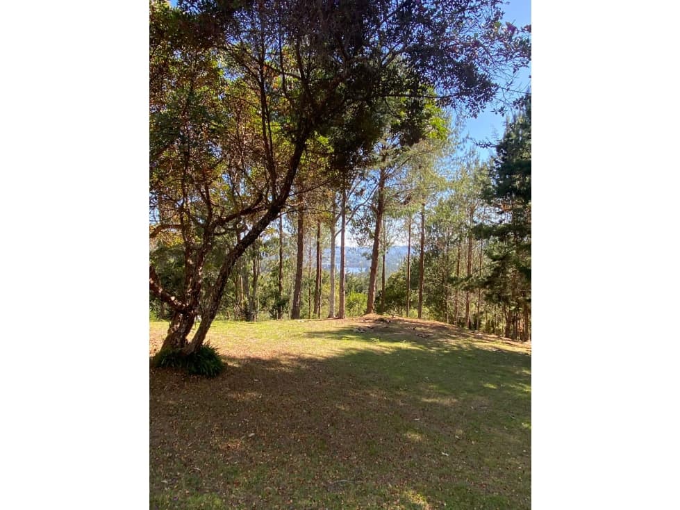Venta Lotes Independientes, Sector Los Salados-El Retiro — foto 4