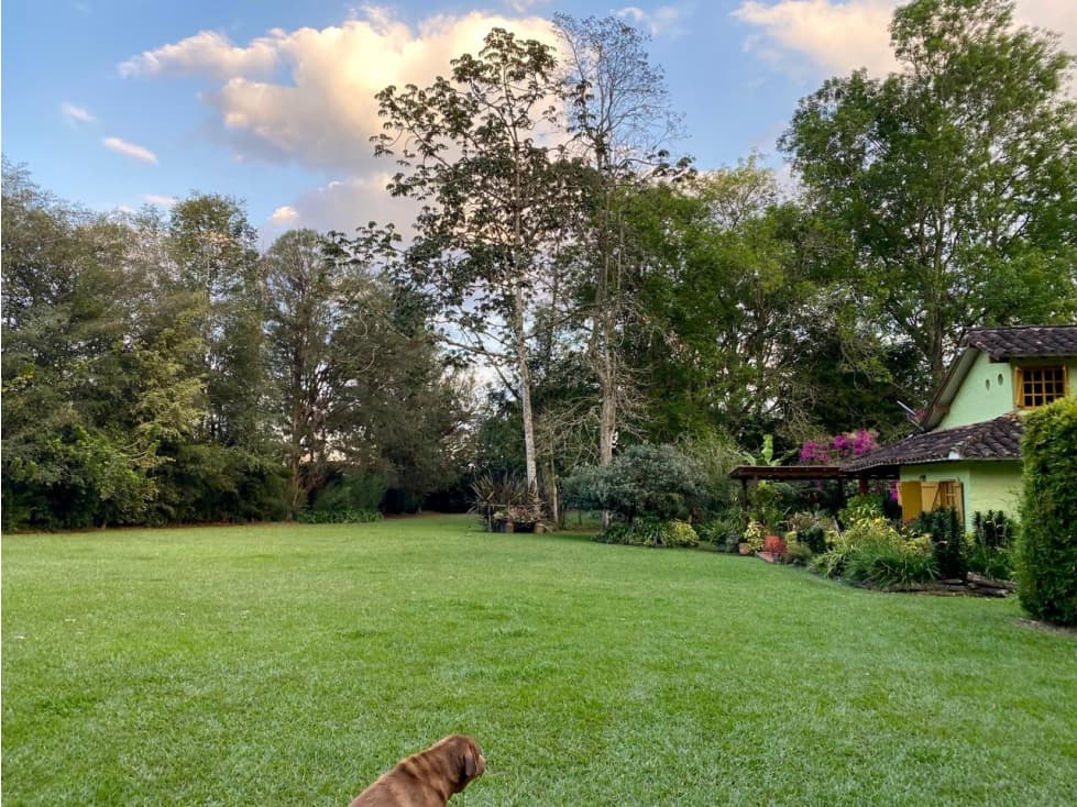 AMPLIO LOTE CON CASA TRADICIONAL, EN RIONEGRO — foto 2