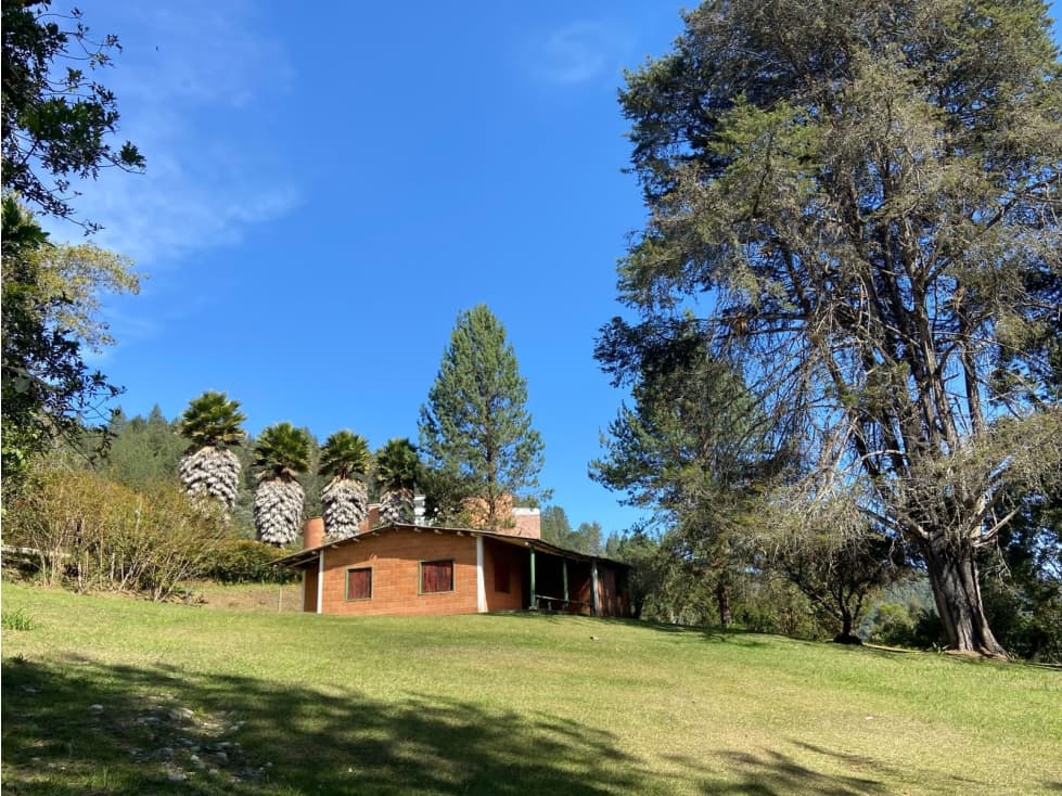 Venta Lotes Independientes, Sector Los Salados-El Retiro — foto 2