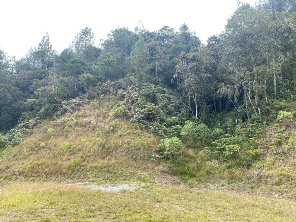 VENTA LOTE EN EL RETIRO, AMBIENTE TRANQUILO — foto 1