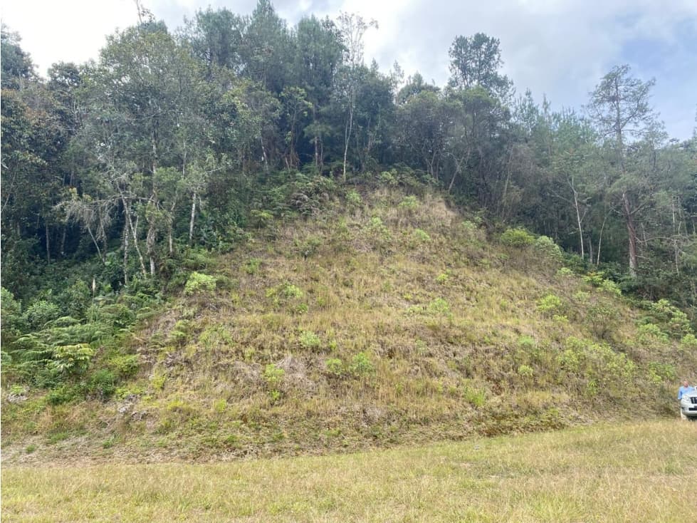 VENTA LOTE EN EL RETIRO, AMBIENTE TRANQUILO — foto 2