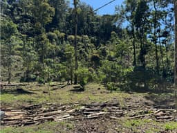 VENTA LOTE CON QUEBRADA Y ARBOLES UBICADO EN PARCELACIÓN- EN EL RETIRO