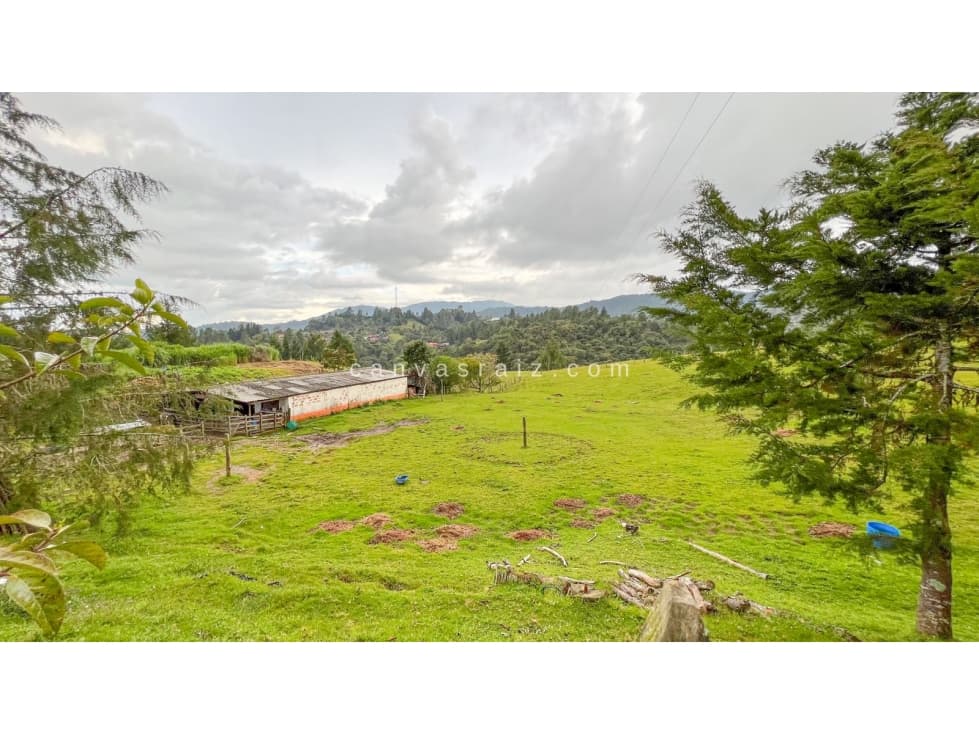 Lote Independiente Vía Las Palmas Envigado — foto 1