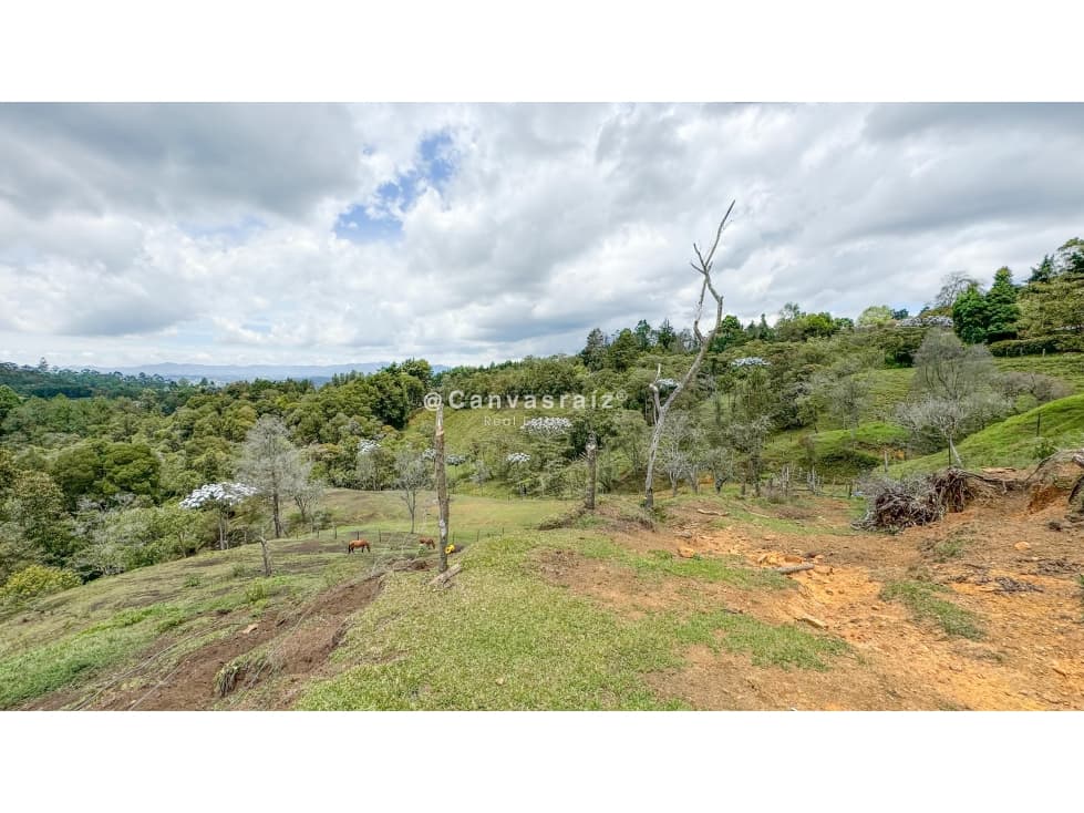 Lote Independiente para Urbanizar Sajonia — foto 1