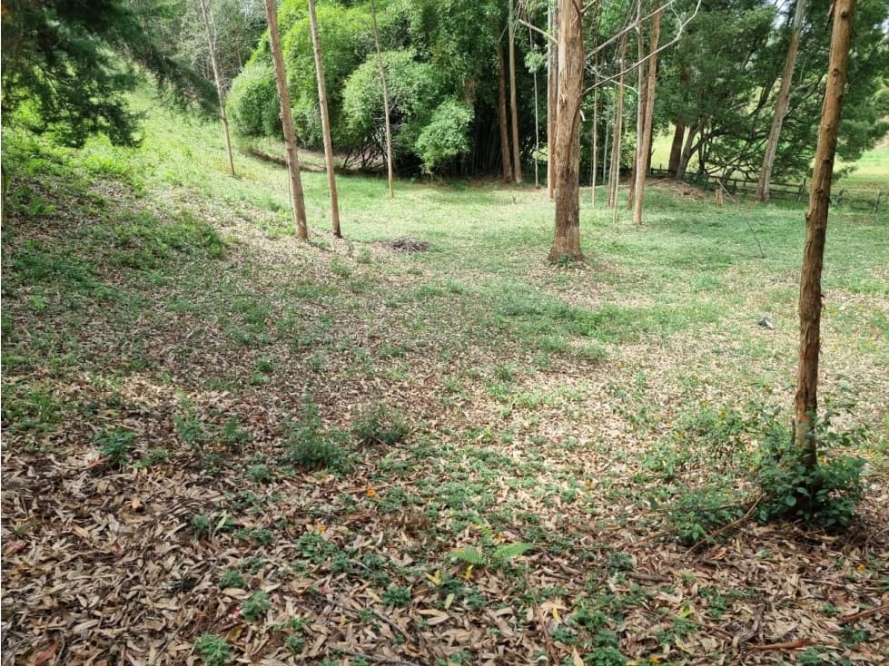 Venta de Lote Distrito Equino Pontezuela — foto 2