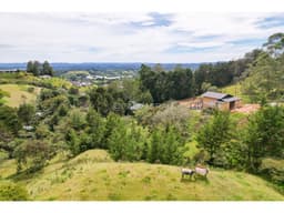 Venta de Lote Independiente Pontezuela