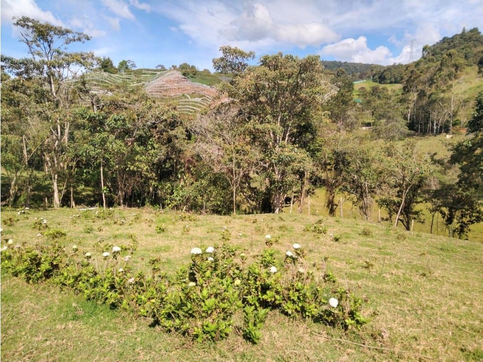 Lote Vereda Pantanillo El Retiro — foto 2