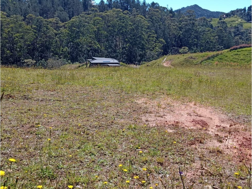 LOTE EN PARCELACIÓN SECTOR PANTANILLO EL RETIRO — foto 2