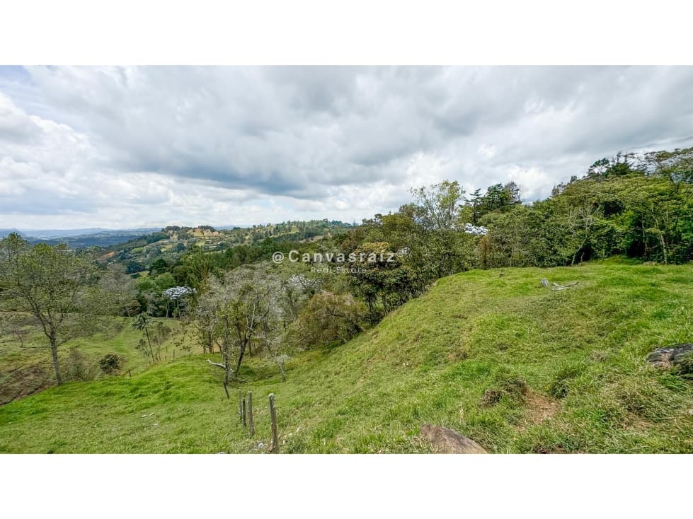 Lote Independiente para Urbanizar Sajonia — foto 3