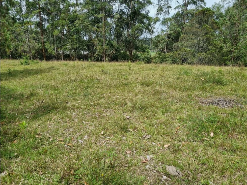 Venta de Lote Distrito Equino Pontezuela — foto 3