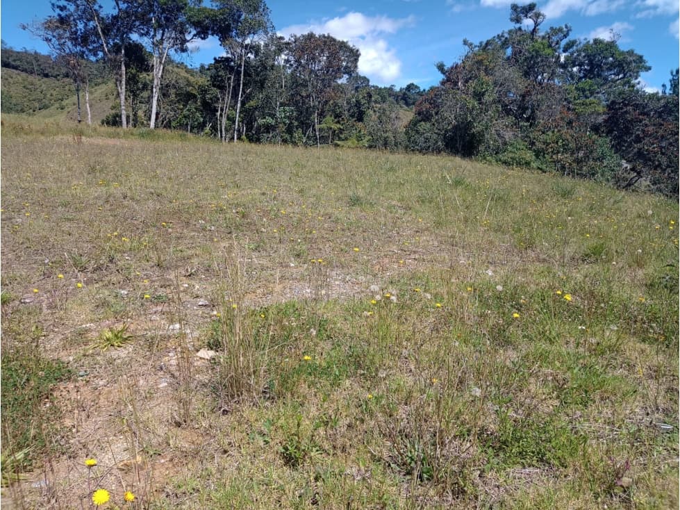 LOTE EN PARCELACIÓN SECTOR PANTANILLO EL RETIRO — foto 3