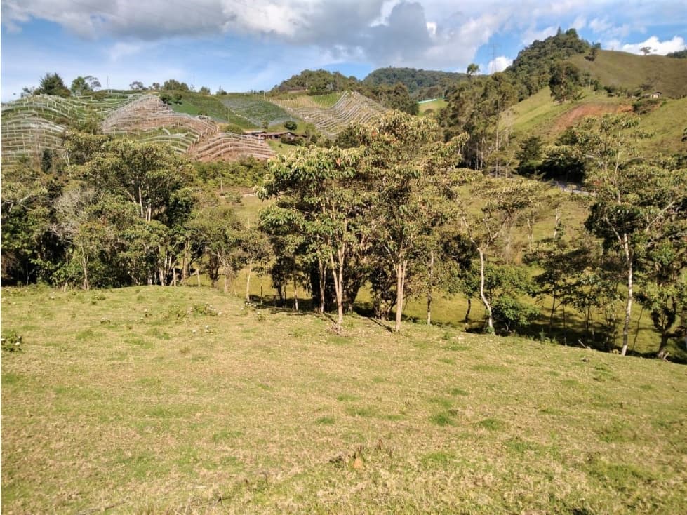Lote Vereda Pantanillo El Retiro — foto 4