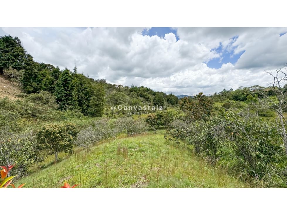 Venta de Lote Sector Mampuesto Rionegro — foto 4