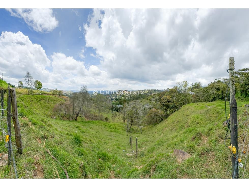 Lote Independiente para Urbanizar Sajonia — foto 4