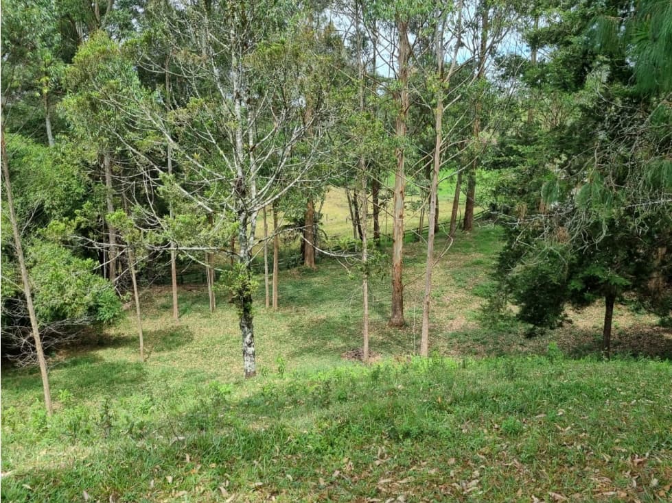Venta de Lote Distrito Equino Pontezuela — foto 4