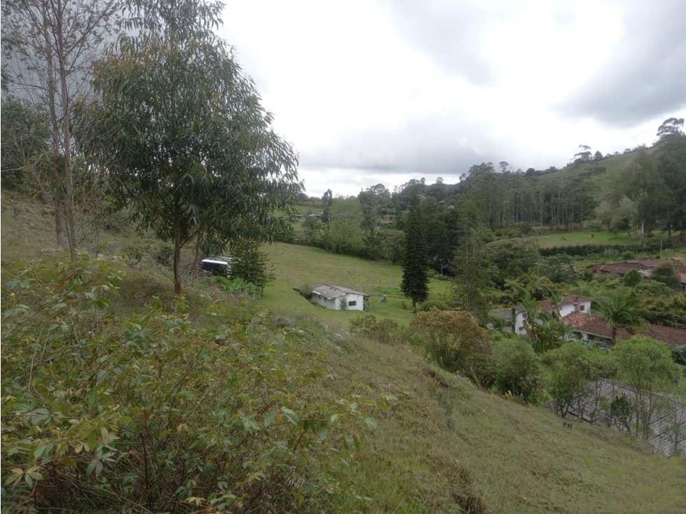 VENTA DE LOTE INDPENDIENTE VEREDA EL CHUSCAL — foto 4
