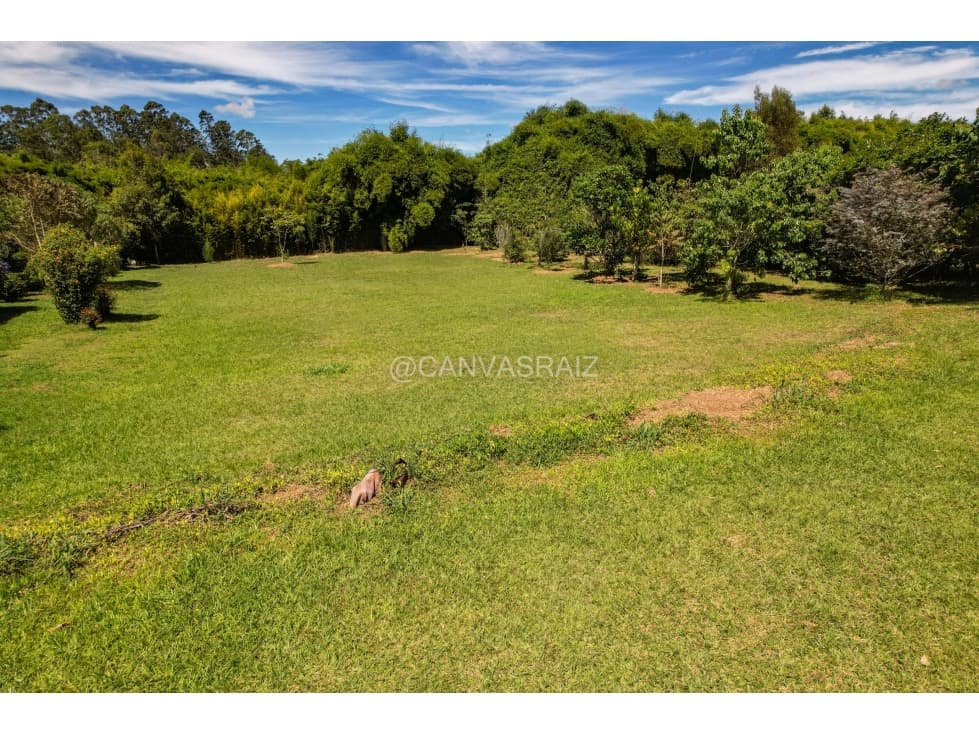 Lote en parcelación en Llanogrande — foto 5