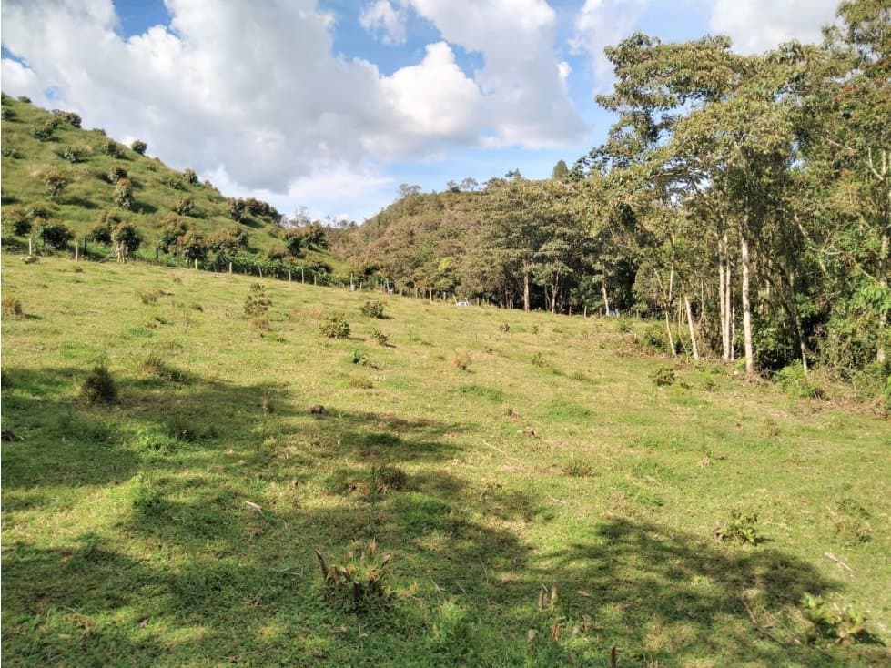 Lote Vereda Pantanillo El Retiro — foto 6