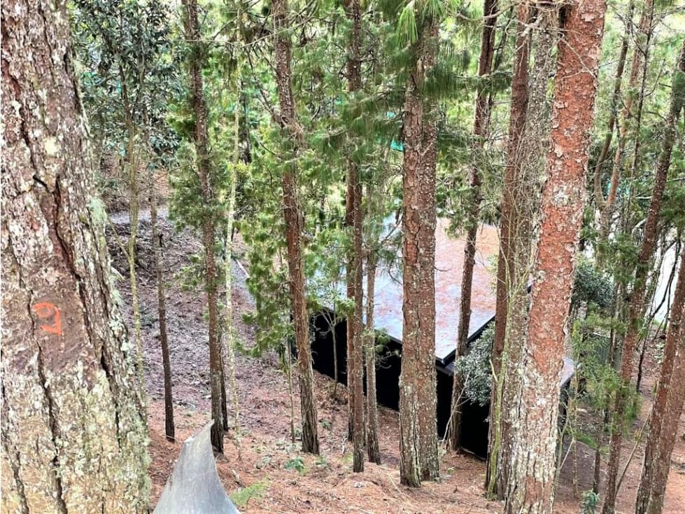 Lote con Tiny House en Parcelación El Escobero — foto 4