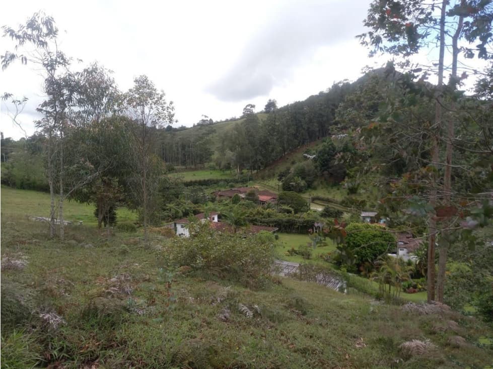 VENTA DE LOTE INDPENDIENTE VEREDA EL CHUSCAL — foto 6