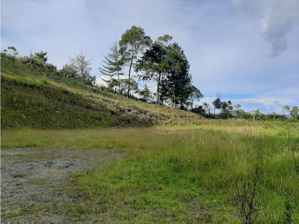 Venta de Lote con Hermosa vista a la Ceja — foto 6