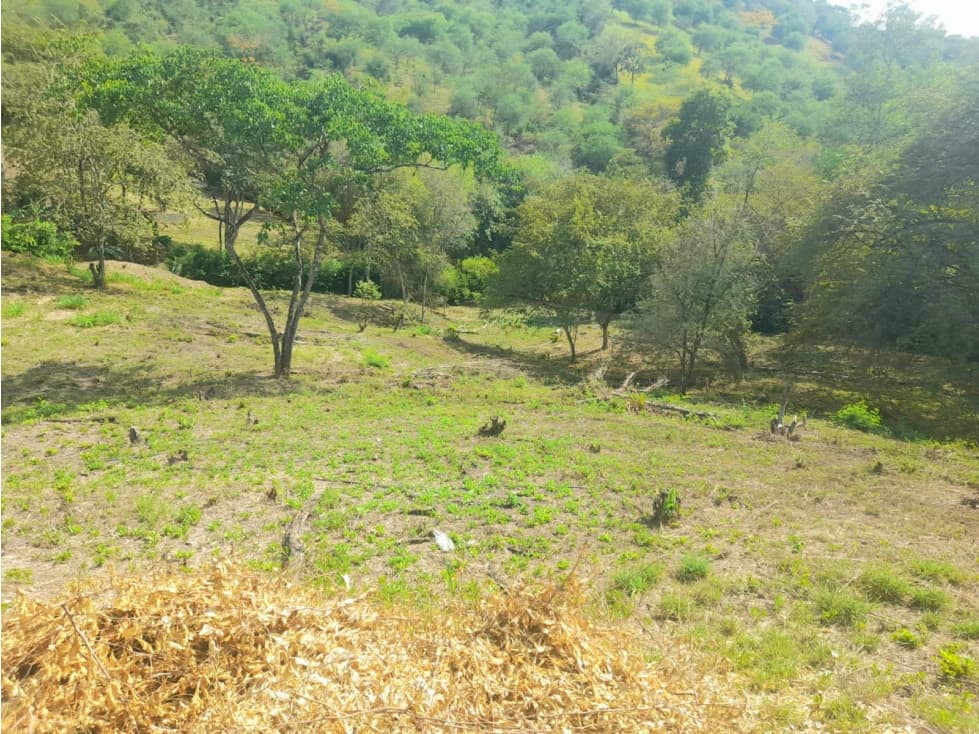 LOTE EN VENTA EN SOPETRAN PARCELACIÓN EL RODEO — foto 3