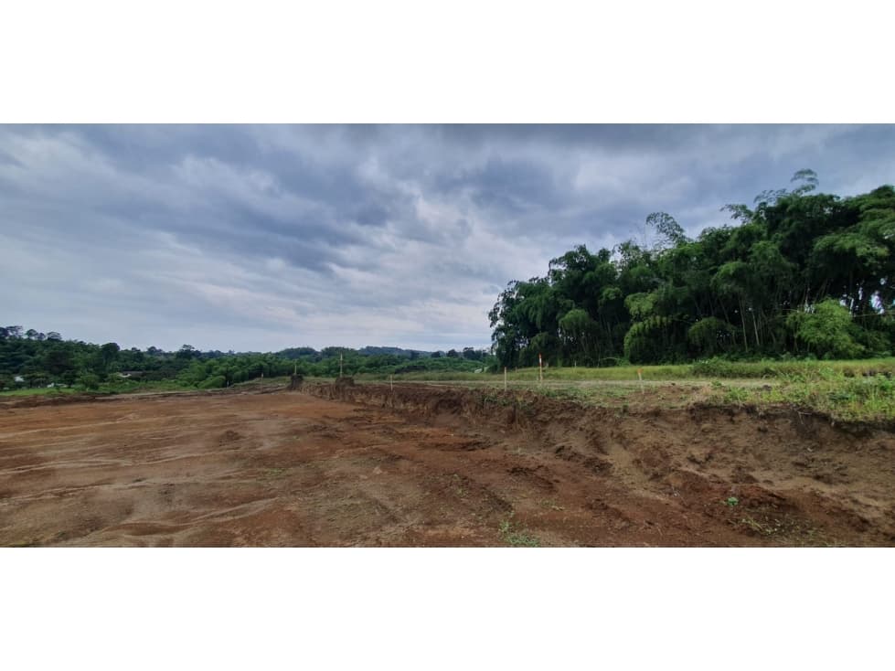 VENTA LOTE PROYECTO DE PARCELACION SECTOR HOJAS ANCHAS — foto 5