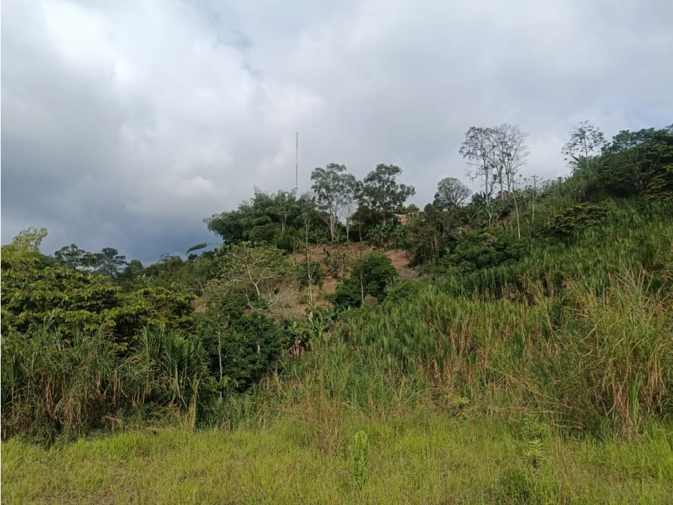 VENTA LOTE CAMPESTRE INDEPENDIENTE NORTE DE ARMENIA — foto 2