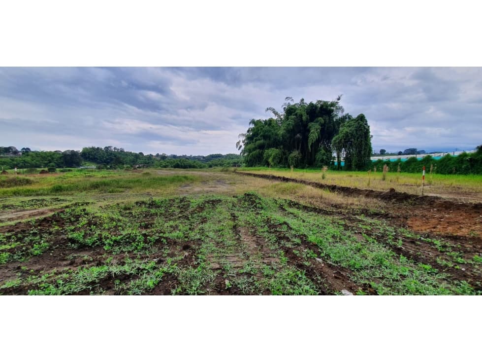 VENTA LOTE PROYECTO DE PARCELACION SECTOR HOJAS ANCHAS — foto 4