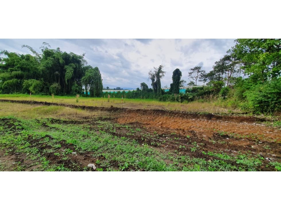 VENTA LOTE PROYECTO DE PARCELACION SECTOR HOJAS ANCHAS — foto 3