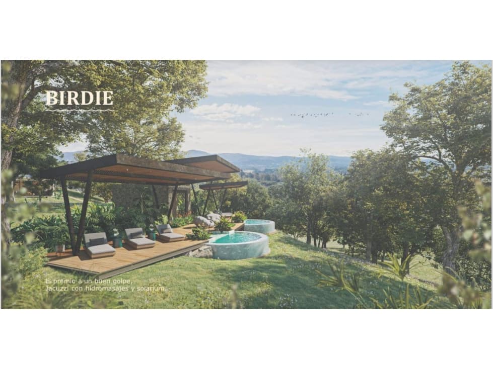 LOTE RIONEGRO — foto 6