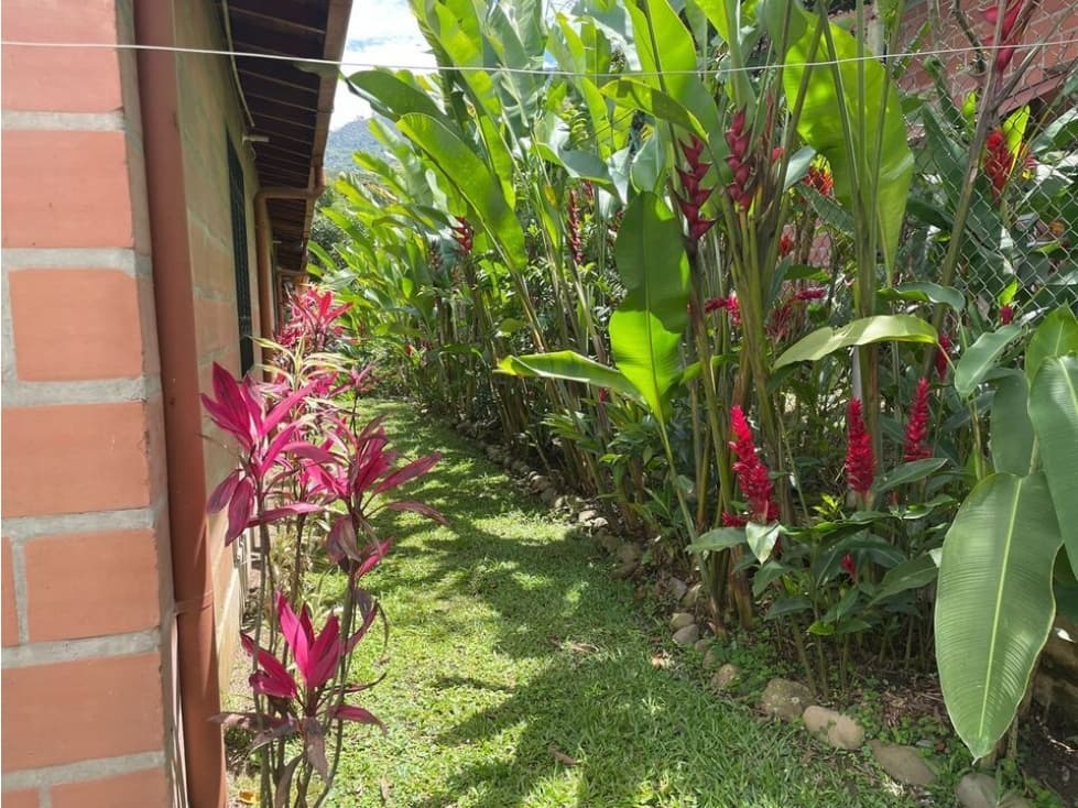 Finca en copacabana ancon — foto 2