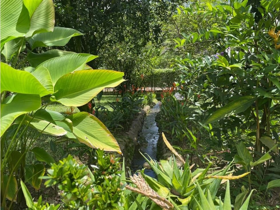 Finca en copacabana ancon — foto 3