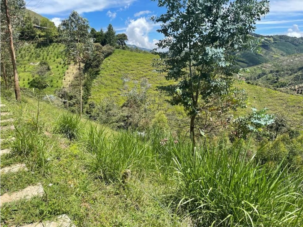 Finca el Retiro Vereda Nazareth — foto 6