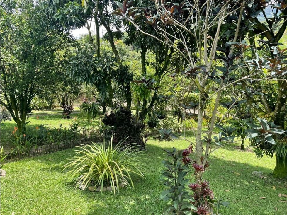 Finca en copacabana ancon — foto 5