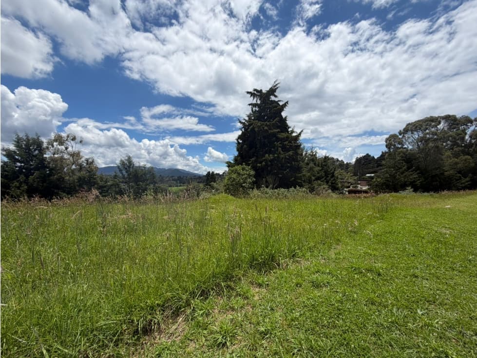 Lote Venta - Palmas — foto 1