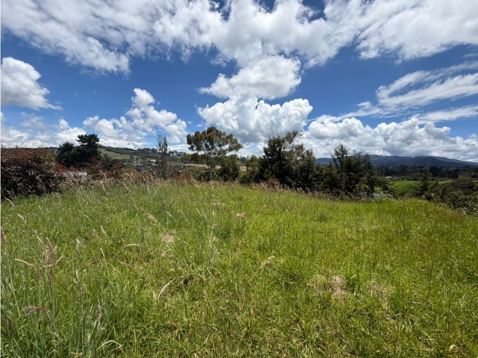 Lote Venta - Palmas — foto 3